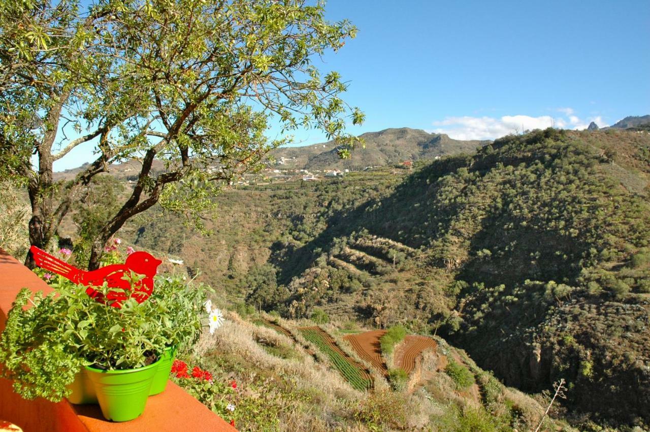 Tres Almendros By I N Z U L A E Villa Vega de San Mateo Esterno foto